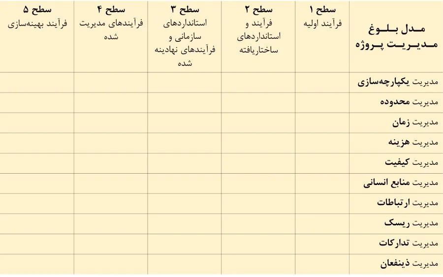 ماتریس مدل بلوغ مدیریت پروژه سازمانی (OPM3)